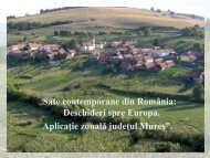 Sate contemporane din România - Muzeul Judeţean Mureş