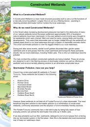 Constructed Wetlands Fact Sheet - Great Lakes Council