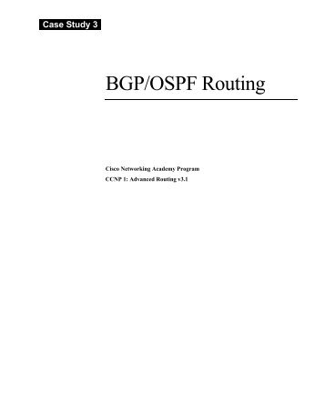 BGP/OSPF Routing - Hornad