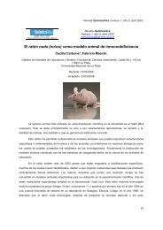 El ratÃ³n nude (nu/nu) como modelo animal de ... - QuimicaViva