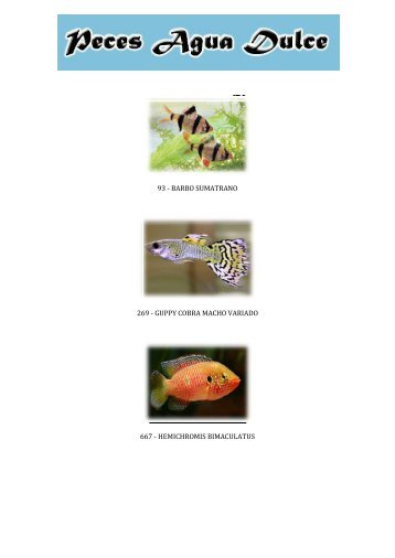 CatÃ¡logo Peces de agua dulce (.pdf) - Sobre NAT-FISH