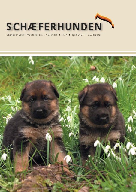 SCHÃFERHUNDEN - SchÃ¦ferhundeklubben for Danmark