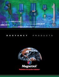 Technical Brochure - Magnetrol International