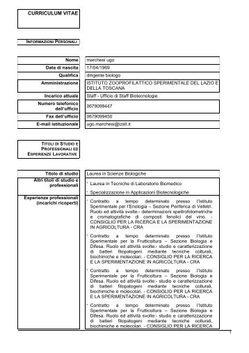 Curriculum e Retribuzione economica - (IZS) delle Regioni Lazio e ...