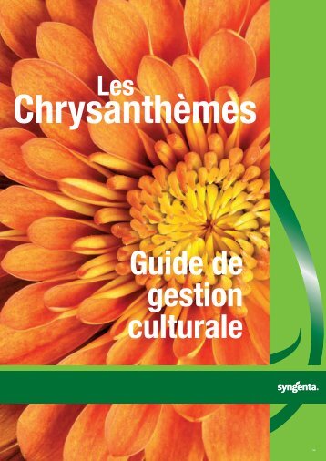 Guide ChrysanthÃ¨mes - Syngenta