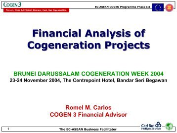 Financial Analysis of Cogeneration Projects Financial ... - cogen 3