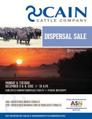 DISPERSAL SALE - Advanced Video Auctions