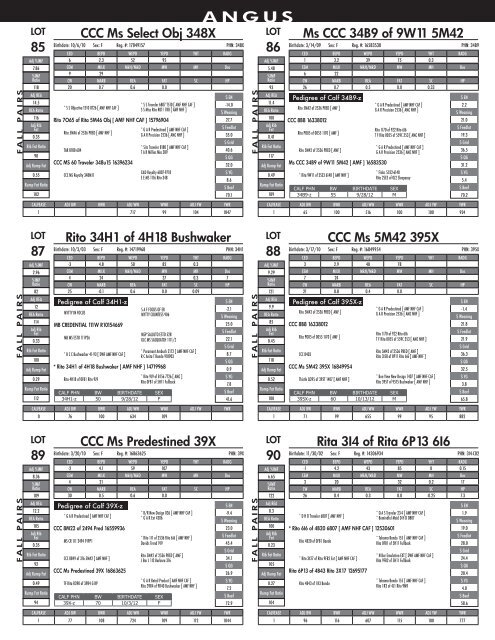 DISPERSAL SALE - Advanced Video Auctions