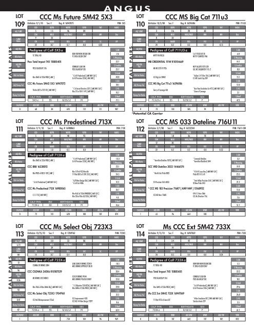 DISPERSAL SALE - Advanced Video Auctions