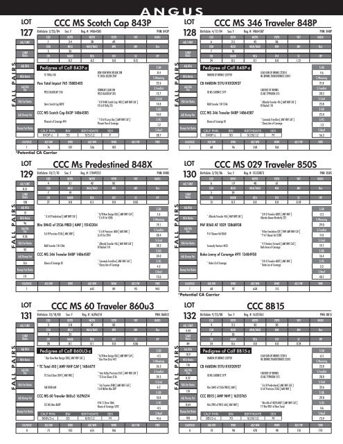 DISPERSAL SALE - Advanced Video Auctions