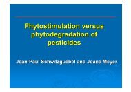 Phytostimulation versus phytodegradation of pesticides