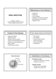 VIRAL INFECTION - Faculty of Medicine