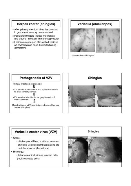 VIRAL INFECTION - Faculty of Medicine