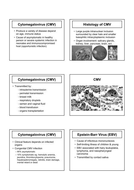 VIRAL INFECTION - Faculty of Medicine