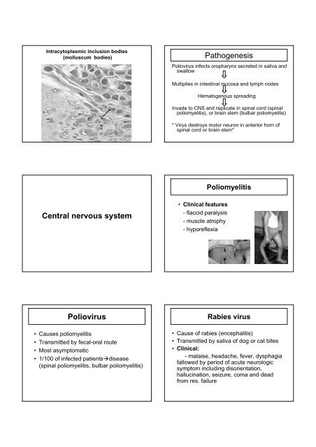 VIRAL INFECTION - Faculty of Medicine