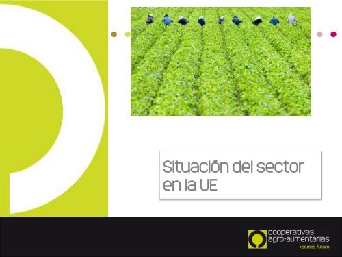 Presentación de PowerPoint - Cooperativas Agro-alimentarias