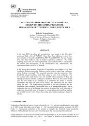 NEUTRALIZATION PROCESS OF ACID WELLS ... - Orkustofnun