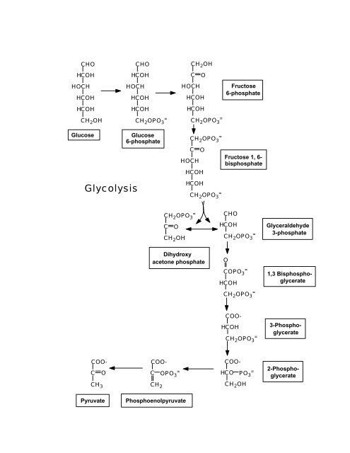 BIOCHEMISTRY REFERENCE MANUAL