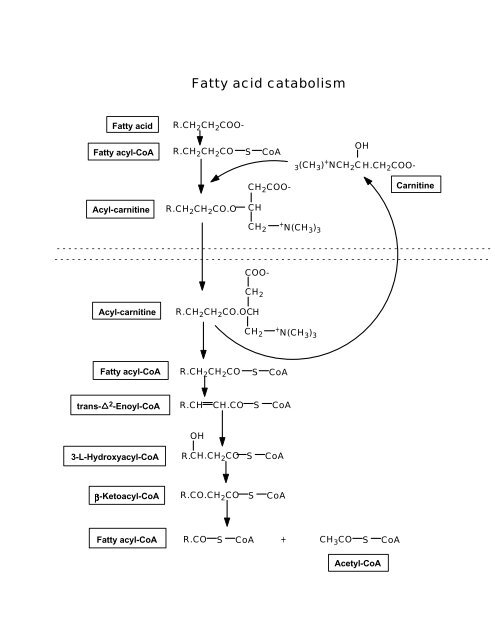 BIOCHEMISTRY REFERENCE MANUAL