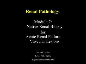 Renal Pathology - RCPA