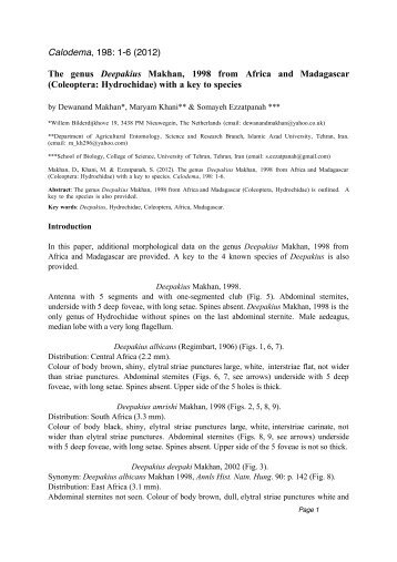Deepakius paper.cwk (WP) - Calodema