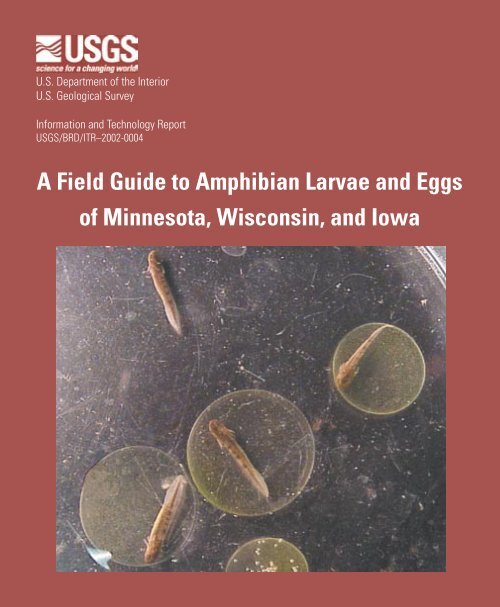 A Field Guide to Amphibian Larvae and Eggs of Minnesota ...