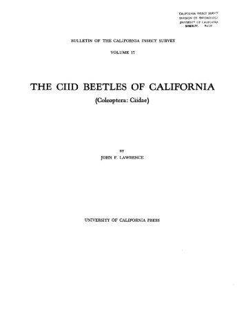 The Ciid Beetles of California (Coleoptera: Ciidae) - Essig Museum ...