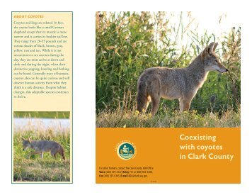At least 50,000 coyotes are estimated lto live in the ... - Clark County