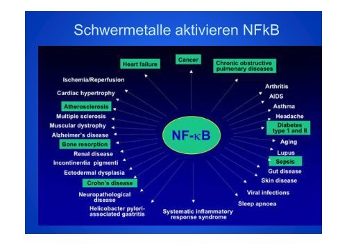 Schwermetalle Capilarex (PDF)