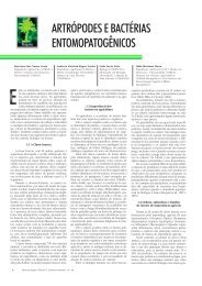 Ryu Biotecnologia CiÃªncia & Desenvolvimento - nÂº 37 1