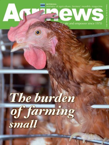 Agrinews February 2013 - Ministry of Agriculture