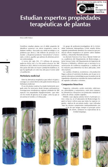 Salud Estudian expertos propiedades terapÃ©uticas de plantas