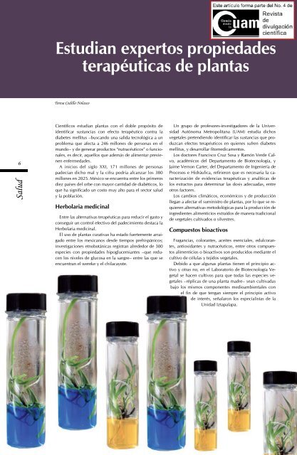 Salud Estudian expertos propiedades terapÃ©uticas de plantas
