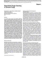 Report Specialized Sugar Sensing in Diverse Fungi - UCI School of ...