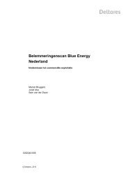 Belemmeringenscan Blue Energy Nederland - Wageningen UR E ...