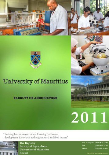 the University of Mauritius