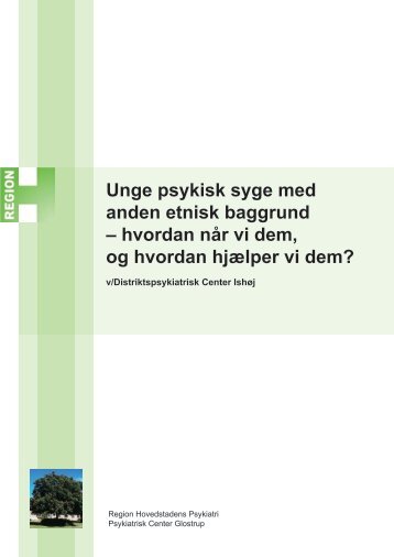 Unge psykisk syge med anden etnisk baggrund - Region ...