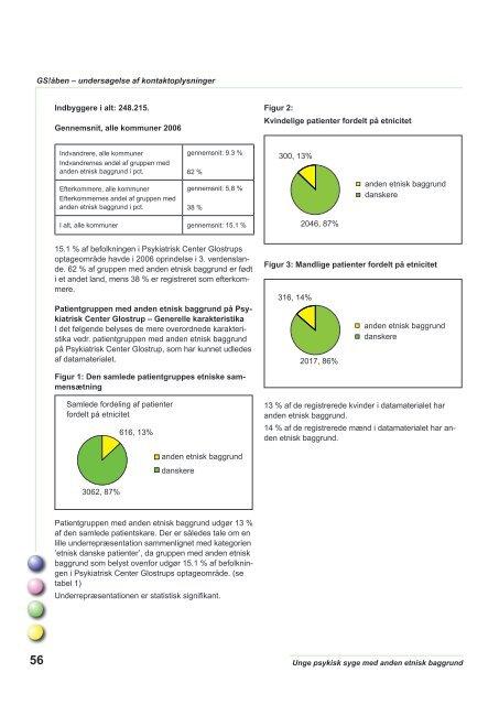 Unge psykisk syge med anden etnisk baggrund - Region ...