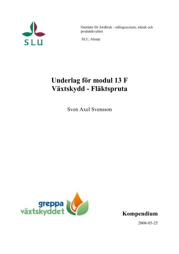 Kompendium 13F.pdf