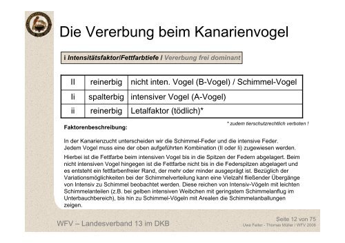 Die Vererbung beim Kanarienvogel