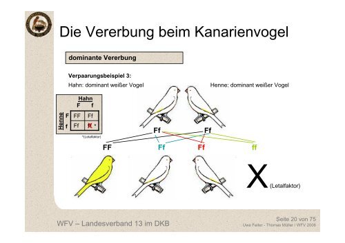 Die Vererbung beim Kanarienvogel