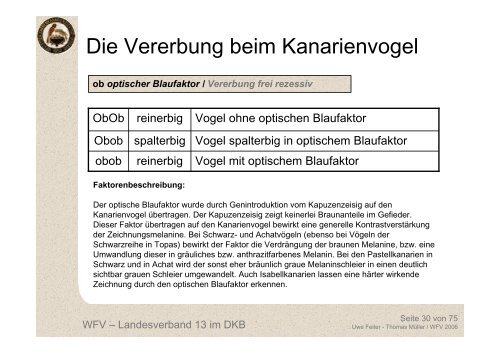 Die Vererbung beim Kanarienvogel