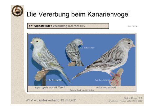 Die Vererbung beim Kanarienvogel