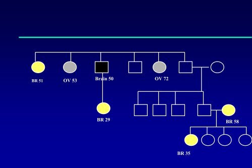 Ovarian Cancer: Genetic Counseling and Testing, Screening and ...