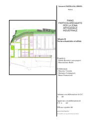 Norme urbanistiche ed edilizie (pdf) - Comune di Piazzola sul Brenta
