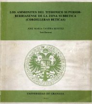 los ammonites del tithonico superior berriasense de la zona subbetica