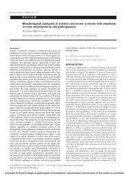 Morphological subtypes of ovarian carcinoma: a ... - BPA Pathology