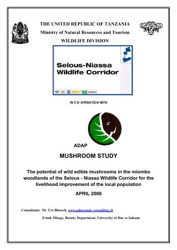 The potential of wild edible mushrooms in the miombo woodlands of ...