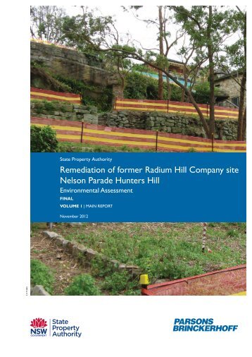 Remediation of former Radium Hill Company site Nelson ... - Land