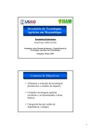 InventÃ¡rio de Tecnologias AgrÃ¡rias em MoÃ§ambique InventÃ¡rio de ...